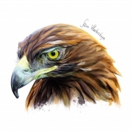 eagle