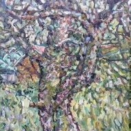 Ствол яблони