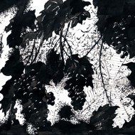 Паутинка / The Little Gossamer 