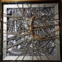 В паутине инстинктов