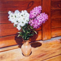 Флоксы на скамейке / Phlox on the Bench