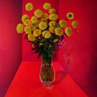 Жёлтые цветы на красном / Yellow Flowers on Red 