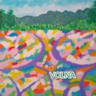 разноцветы