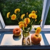 Одуванчики на подоконнике / Dandelions on the Windowsill 