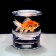 goldfish in drinking glass