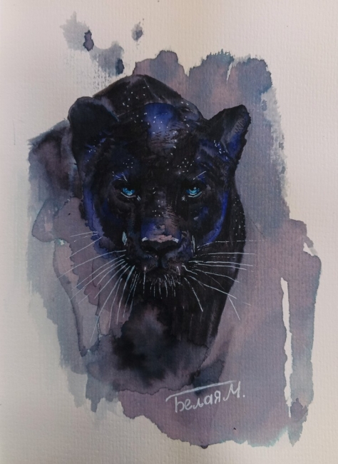 Кошачья серия. Чёрная Пантера