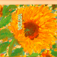 медовый день