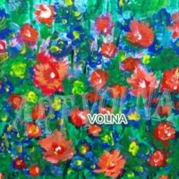 чудесный день