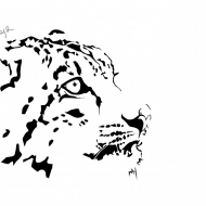 snow leopard