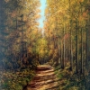 В нашем лесу / In Our Forest 