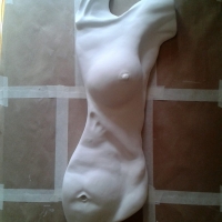 half  female torso