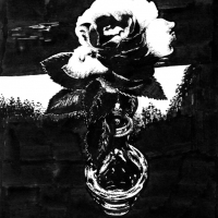 Роза в черном/  Rose in black