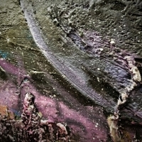 ТУМАННОСТЬ АНДРОМЕДЫ