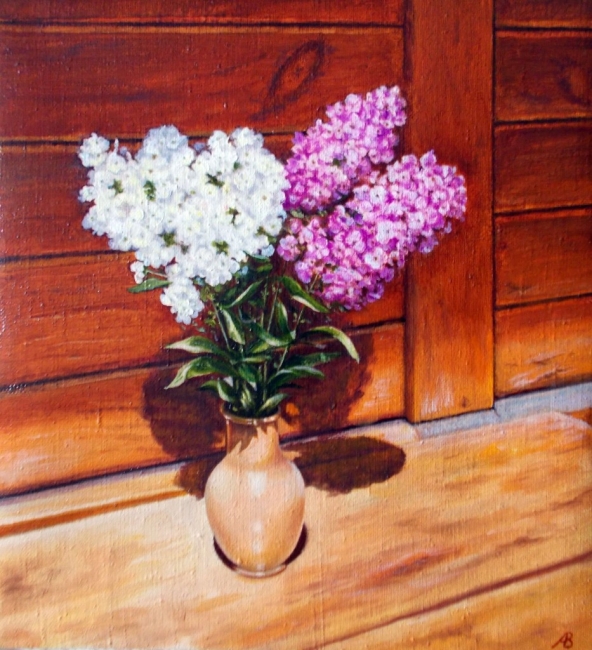 Флоксы на скамейке / Phlox on the Bench