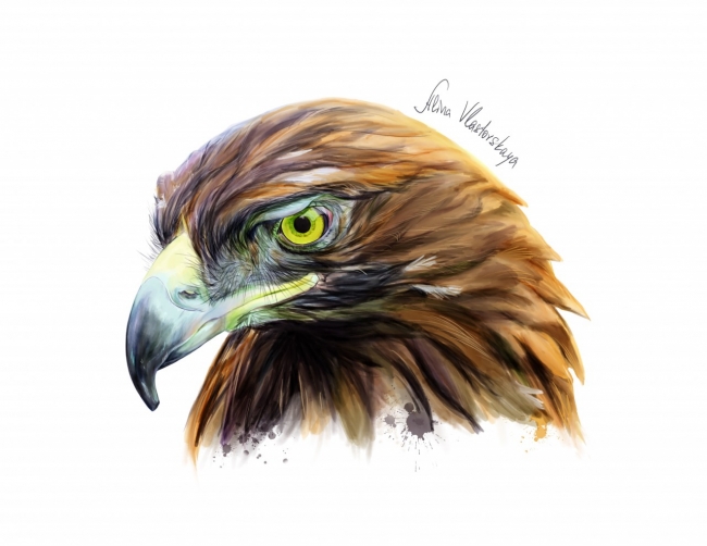 eagle