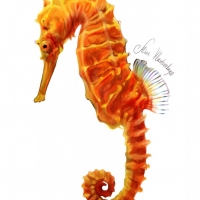 seahorse