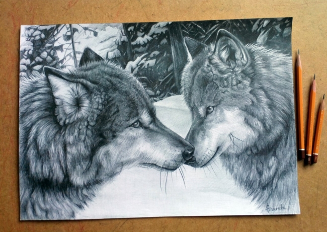 Wolves