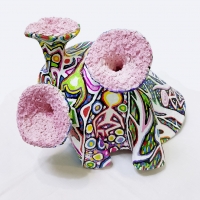 Морская раковина