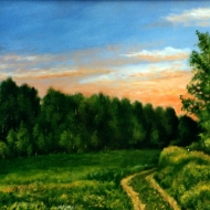 Вечернее поле / Evening Field