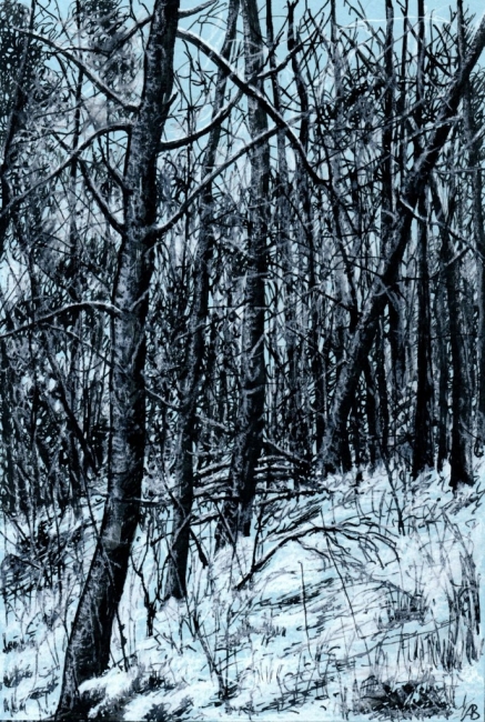 Среди зимы 38 / Among the Winter 38 