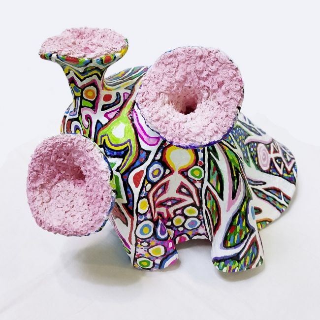 Морская раковина