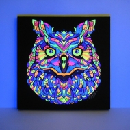 Owl Сова