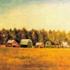 Среди полей. Дачи 1 / Among the Fields. Dachas 1