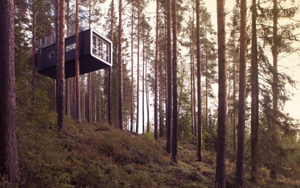 treehotel13.jpg