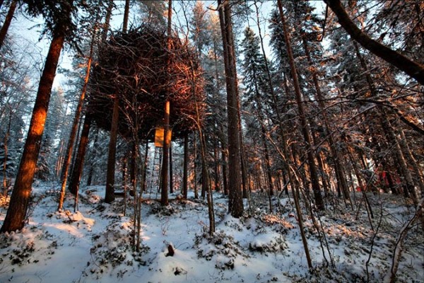 treehotel7.jpg