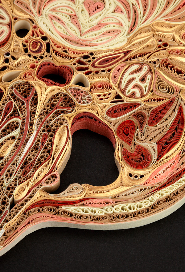 Lisa-Nilsson-quilling-anatomy-8.jpg