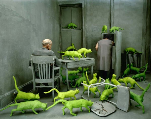 sandy_skoglund_2.jpg