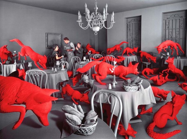 sandy_skoglund_30.jpg