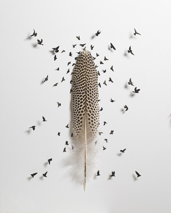 intricate-feather-cutouts-chris-maynard-