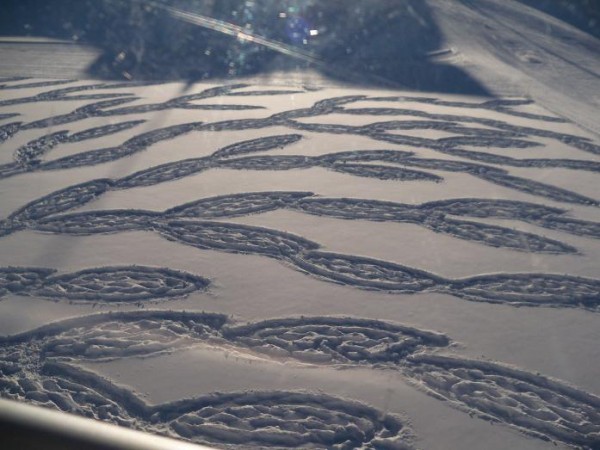 tracks_in_the_snow_20.jpg