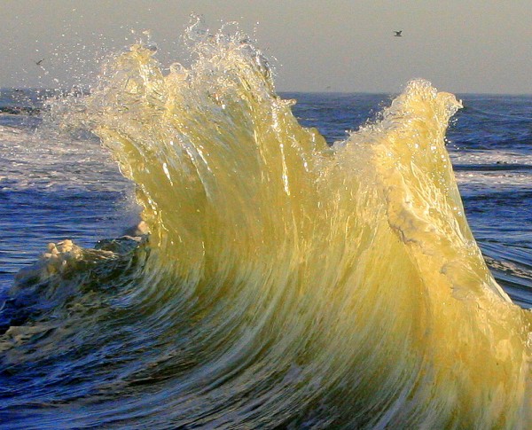 tidal_bore_15.jpg