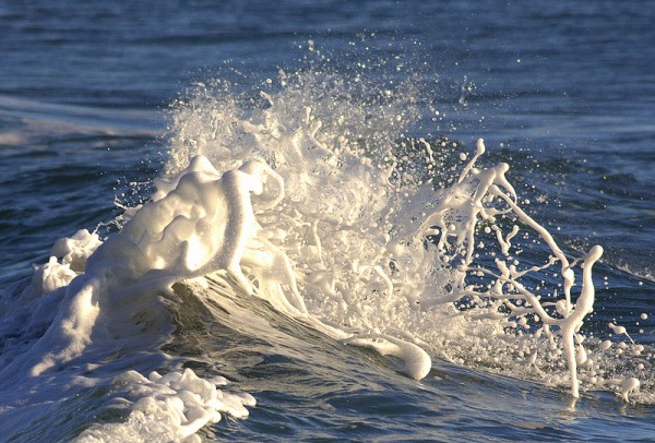 tidal_bore_8.jpg