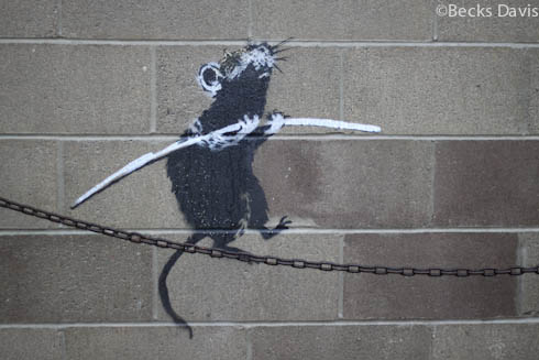 rats_banksy_13.jpg